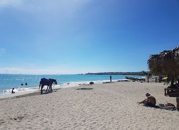 jamaica/north-coast/attraction/boardwalk-beach