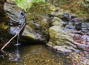 trinidad-and-tobago/asa-wright-nature-centre/attraction/twin-falls