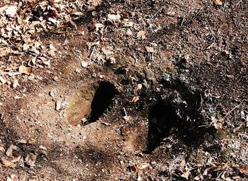 hungary/matra-mountains/attraction/torok-labnyom