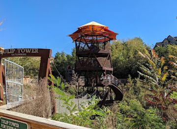 tennessee/gatlinburg/attraction/the-tulip-tower