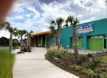 Institute For Marine Mammal Studies
