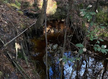 florida/santa-fe-river/attraction/mill-creek-preserve