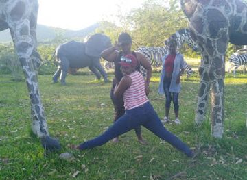 zimbabwe/bvumba-botanical-gardens/attraction/vumba-gateway-gardens-and-curios