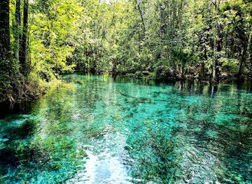 florida/ocala-national-forest/attraction/silver-springs-state-park-campground-and-museum-entrance