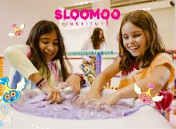 illinois/bolingbrook/attraction/sloomoo-institute-chicago