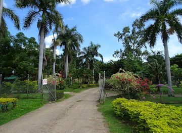 fiji/denarau-island/attraction/lautoka-botanical-gardens