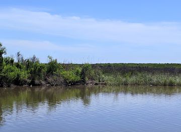 louisiana/sabine-national-wildlife-refuge/attraction/russell-sage-foundation-marsh-island-state-wildlife-refuge