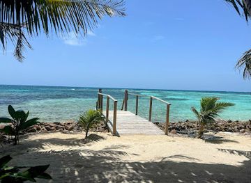 belize/toledo-district/attraction/evolution-expeditions