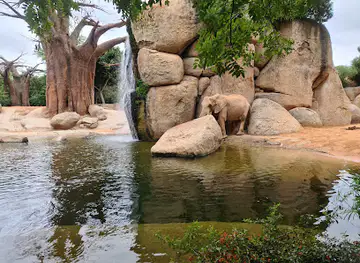 Bioparc Valencia