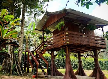 ecuador/santo-domingo-de-los-tsachilas-region/attraction/finca-turistica-a-pata-limpia