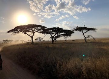 tanzania/serengeti-national-park/attraction/serengeti-park