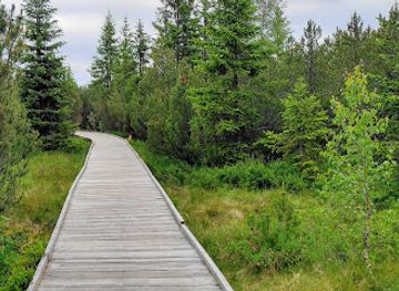 czechia/sumava/attraction/jezerni-slat