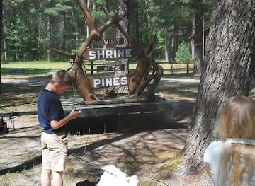 michigan/pere-marquette-state-forest/attraction/shrine-of-the-pines