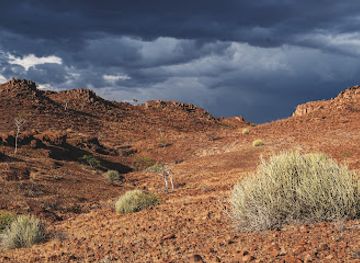 namibia/kaokoland/attraction/palmwag-day-visitors-area