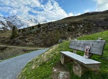 switzerland/davos/attraction/benbentheridgeback-s-bench