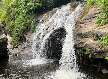 thailand/chiang-mai-province/attraction/wang-bua-ban-pha-ngoep