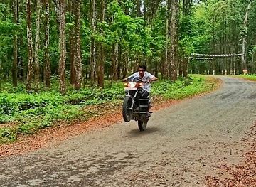 nepal/province-no-1/attraction/madhumalla-tiktok-road