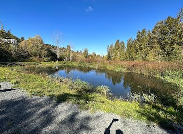 washington/everett/attraction/frog-rock-pond