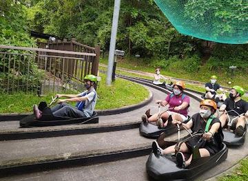 singapore/east-coast-park/attraction/skyline-luge