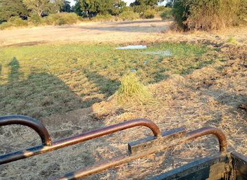 zimbabwe/mana-pools-national-park/attraction/kutali-camp