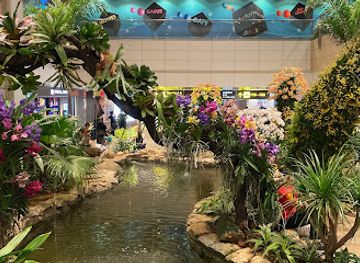 singapore/changi/attraction/sunflower-garden