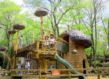 japan/kanto/attraction/karuizawa-toy-kingdom