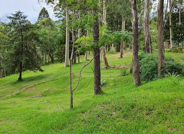 zimbabwe/eastern-highlands/attraction/bellview-estate