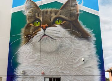 new-zealand/whanganui/attraction/swiftmantis-cat-mural-hangar-the-airport-cat