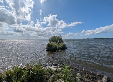 netherlands/flevoland/attraction/krokodil-skulptur
