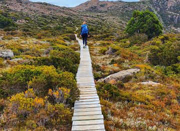 australia/mount-field-national-park/attraction/heiko-s-tarn