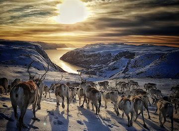 norway/finnmark-plateau/attraction/arctic-suorbmu-nils-mikkelsen-sara