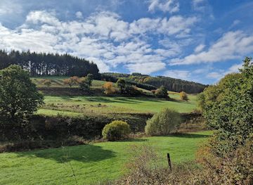 germany/eifel/attraction/geysir-wallender-born