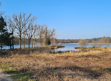 netherlands/north-brabant/attraction/vlonderpad-mastbos