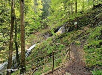 france/vosges-mountains/attraction/cascade-du-seebach