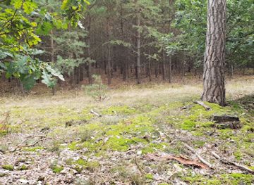 slovakia/zahorie/attraction/vanisovec