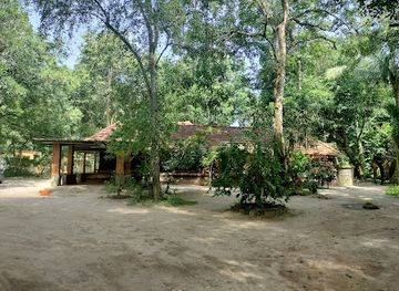 india/alleppey/attraction/elephant-training-camp-alleppey