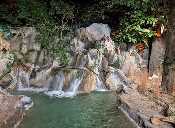 kansas/glaciated-region/attraction/rolling-hills-zoo