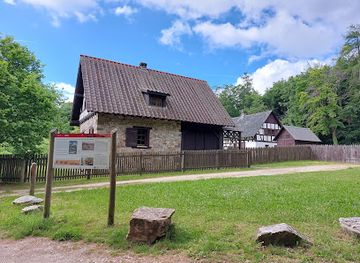 germany/taunus/attraction/romisches-dorf-saalburg