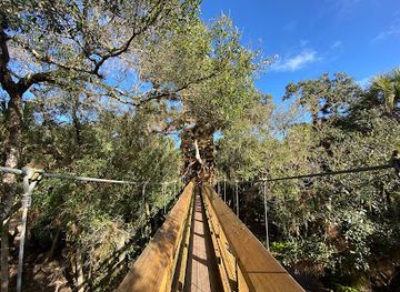 florida/southeast-florida/attraction/myakka-canopy-walkway-and-observation-tower