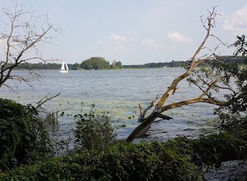poland/zegrze-reservoir/attraction/wawoz-szaniawskiego-rezerwat-przyrody