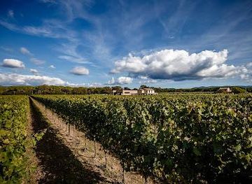 italy/san-gimignano/attraction/villanoviana-azienda-agricola