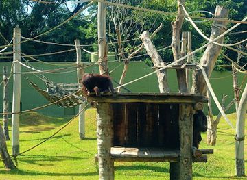 india/mysore/attraction/chimpanzee-view-point