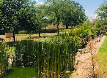 zambia/lusaka-national-park/attraction/louisa-gardens