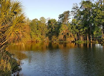 florida/crystal-river/attraction/churchhouse-hammock-trail
