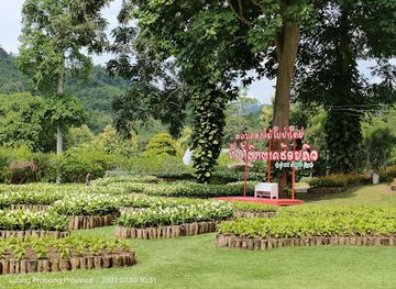 laos/luang-prabang/attraction/green-jungle-park