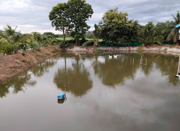 thailand/kanchanaburi/attraction/kaow-tam-pho