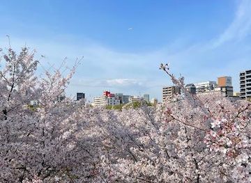 japan/osaka/attraction/kema-sakuranomiya-park