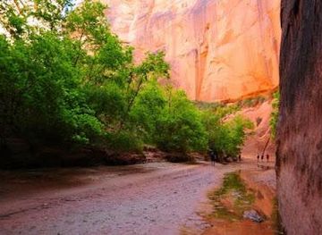 arizona/page/attraction/buckskin-gulch-petroglyphs