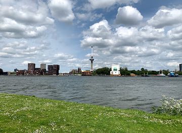 netherlands/rijnmond/attraction/schepen-spottersplek-charlois