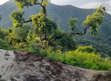 ethiopia/mago-national-park/attraction/senegal-mountain